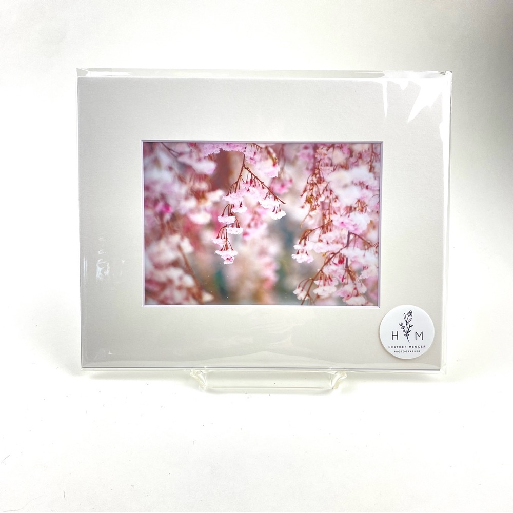 Cherry Blossoms in Snow Photographic Art Print 5x7